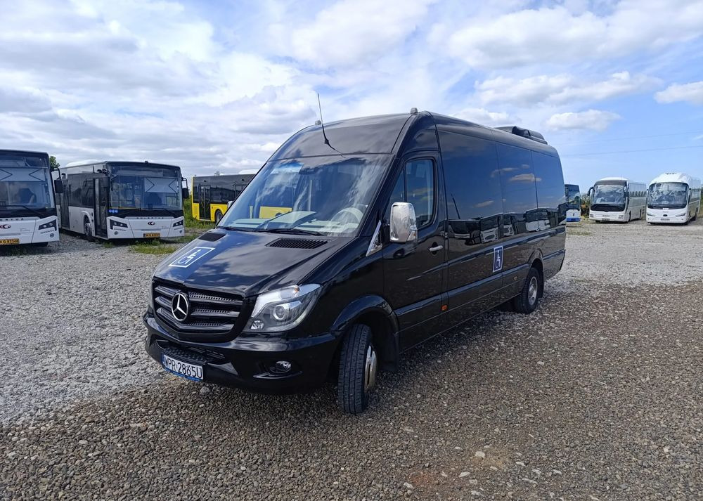 Minibus, Furgão de passageiros Mercedes-Benz Sprinter 519: foto 12