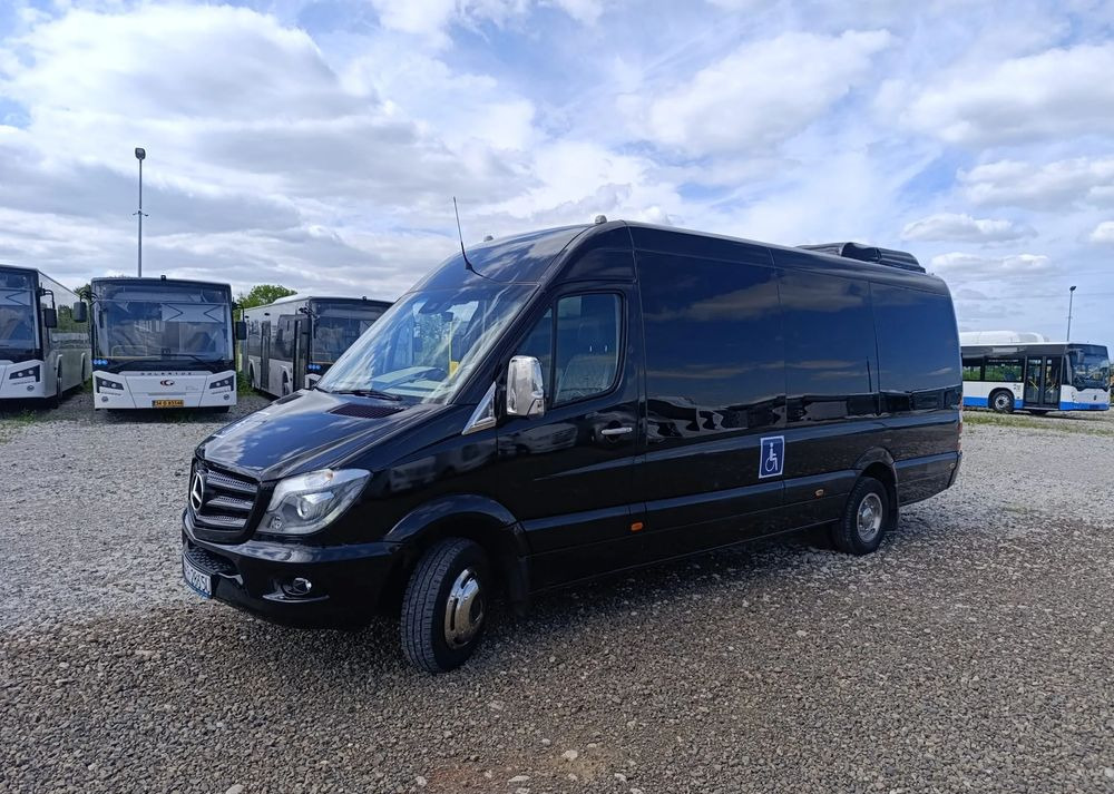 Minibus, Furgão de passageiros Mercedes-Benz Sprinter 519: foto 11