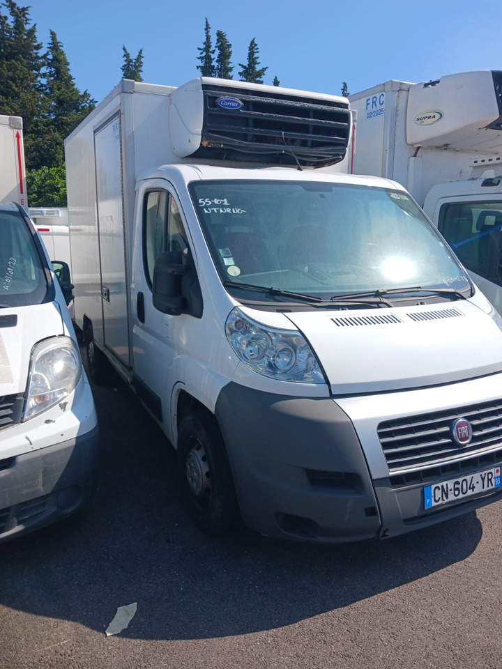 FIAT DUCATO KONTENER CHŁODNIA NR 784 - Carrinha frigorífica: foto 1 FIAT DUCATO KONTENER CHŁODNIA NR 784 - Carrinha frigorífica: foto 1