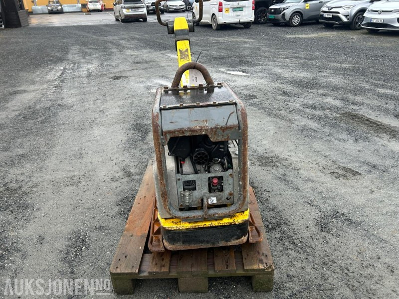 2018 Wacker Neuson Dpu 5545 vibrplate - Rolo: foto 3 2018 Wacker Neuson Dpu 5545 vibrplate - Rolo: foto 3