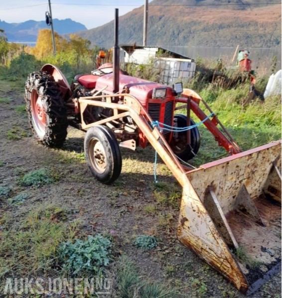Traktor - Massey Ferguson - Trator: foto 1 Traktor - Massey Ferguson - Trator: foto 1