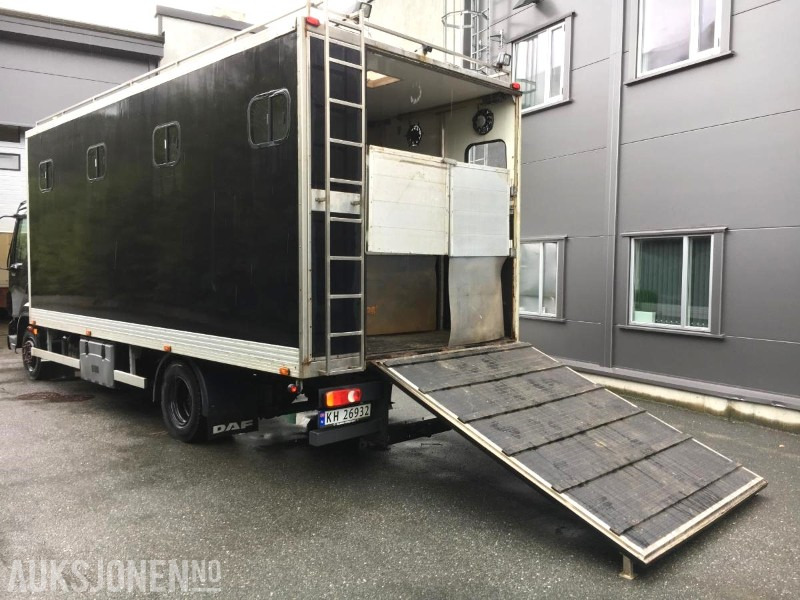 2004 DAF LF 45.220 - Hestebil / Transportbil, 202552km - Veículo municipal/ Especial: foto 2 2004 DAF LF 45.220 - Hestebil / Transportbil, 202552km - Veículo municipal/ Especial: foto 2