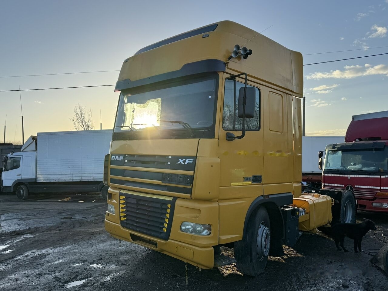 Tractor DAF XF95 430 ATI RETARDER EXPORT: foto 11