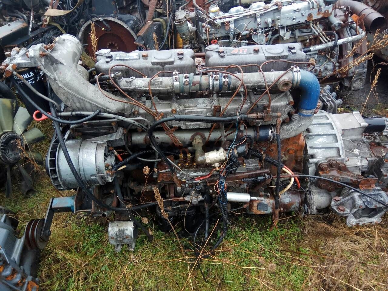 DAF ATI WS315M   DAF 95 - Motor por Camião: foto 1 DAF ATI WS315M   DAF 95 - Motor por Camião: foto 1