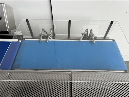 Equipamento de processamento de alimentos Ceia THS Metal detector checkweigher: foto 7