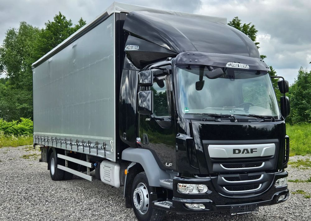 DAF LF 290 / WINDA / 16TON DMC / FIRANKA / AUTOMAT / JEDEN WŁAŚCICIE / EURO 6 / 2019 / SPROWADZONY / 20PALET / NISKI PRZEBIEG / DUŻA ŁADOWNOŚĆ / JAK NOWY - Camião de lona: foto 3 DAF LF 290 / WINDA / 16TON DMC / FIRANKA / AUTOMAT / JEDEN WŁAŚCICIE / EURO 6 / 2019 / SPROWADZONY / 20PALET / NISKI PRZEBIEG / DUŻA ŁADOWNOŚĆ / JAK NOWY - Camião de lona: foto 3
