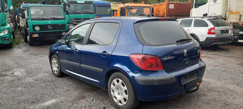 Peugeot 307 Grand Filou - Hatchback: foto 1 Peugeot 307 Grand Filou - Hatchback: foto 1