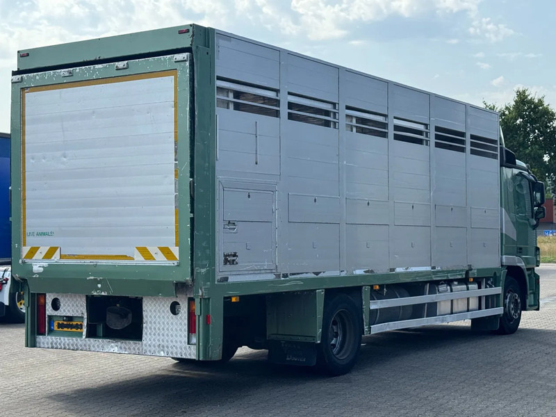 Mercedes-Benz Actros 1832 L 1 - 2 Stock Animal Transport - Camião transporte de gado: foto 3 Mercedes-Benz Actros 1832 L 1 - 2 Stock Animal Transport - Camião transporte de gado: foto 3