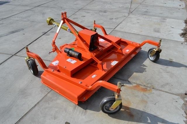 - - - boxer - Gadanheira: foto 5 - - - boxer - Gadanheira: foto 5