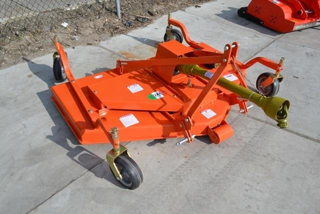 - - - boxer - Gadanheira: foto 1 - - - boxer - Gadanheira: foto 1