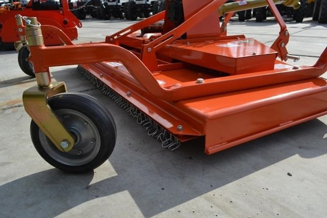 - - - boxer - Gadanheira: foto 4 - - - boxer - Gadanheira: foto 4