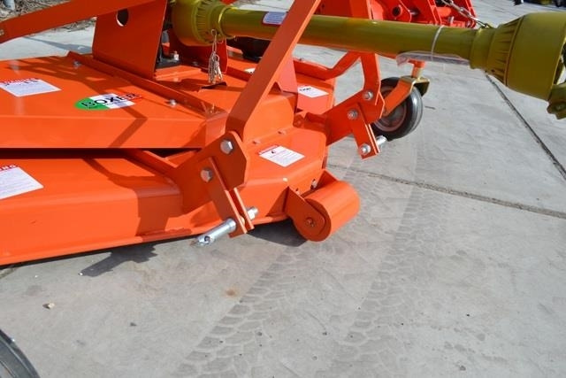 - - - boxer - Gadanheira: foto 3 - - - boxer - Gadanheira: foto 3