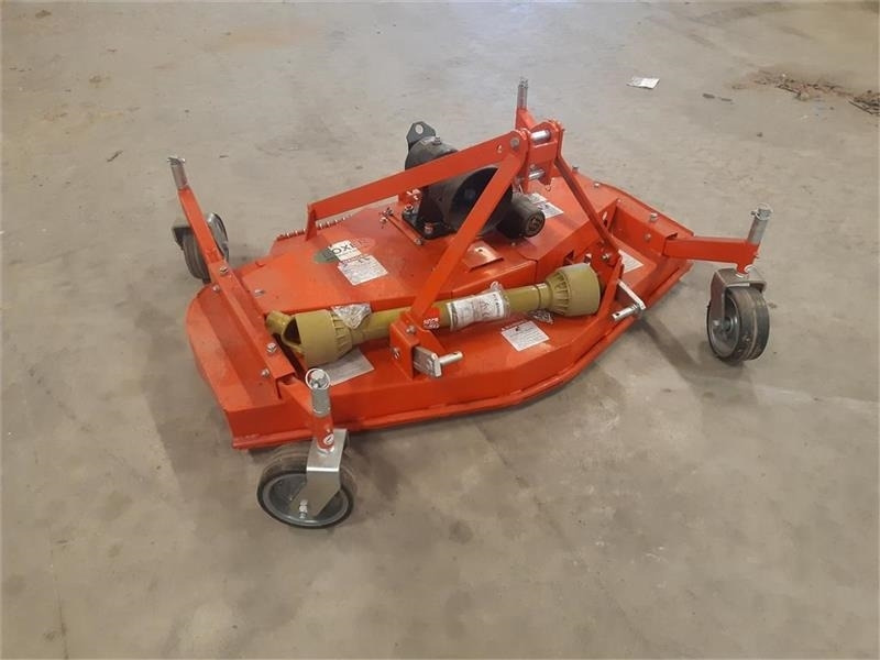 - - - boxer - Gadanheira: foto 1 - - - boxer - Gadanheira: foto 1