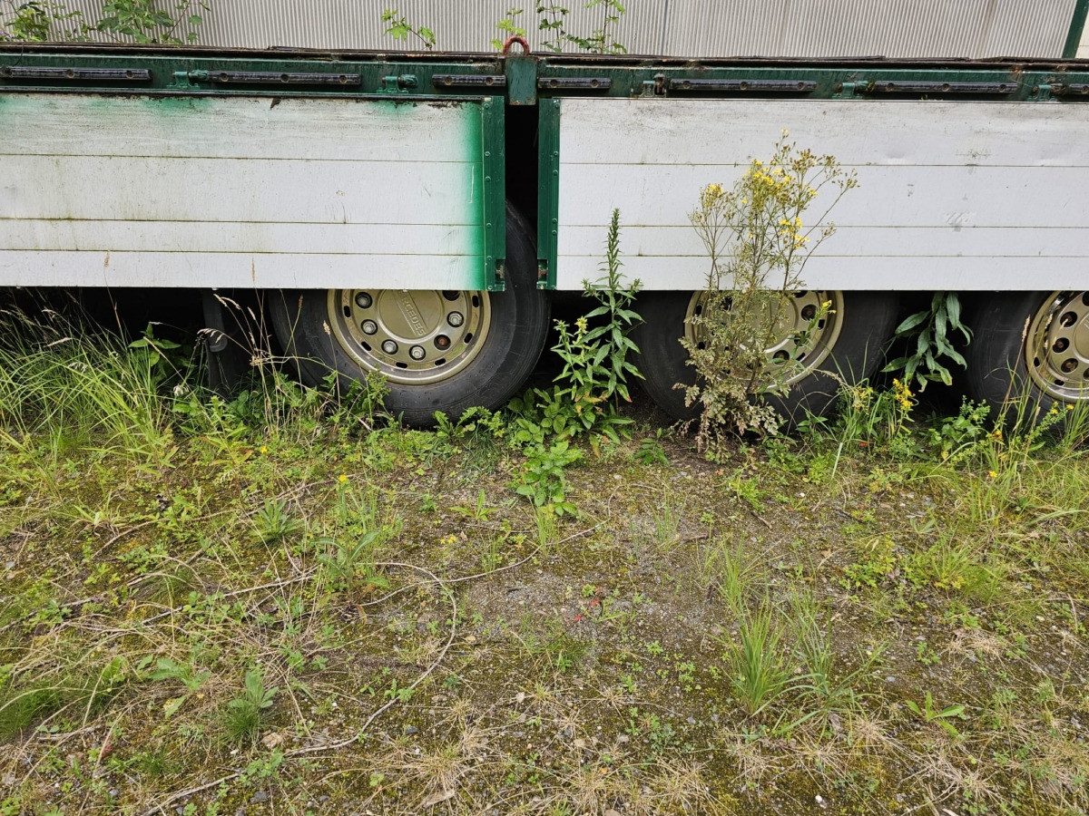 SCHMIDT-Hagen SPC/38/E/13,6 - Reboque agrícola: foto 5 SCHMIDT-Hagen SPC/38/E/13,6 - Reboque agrícola: foto 5