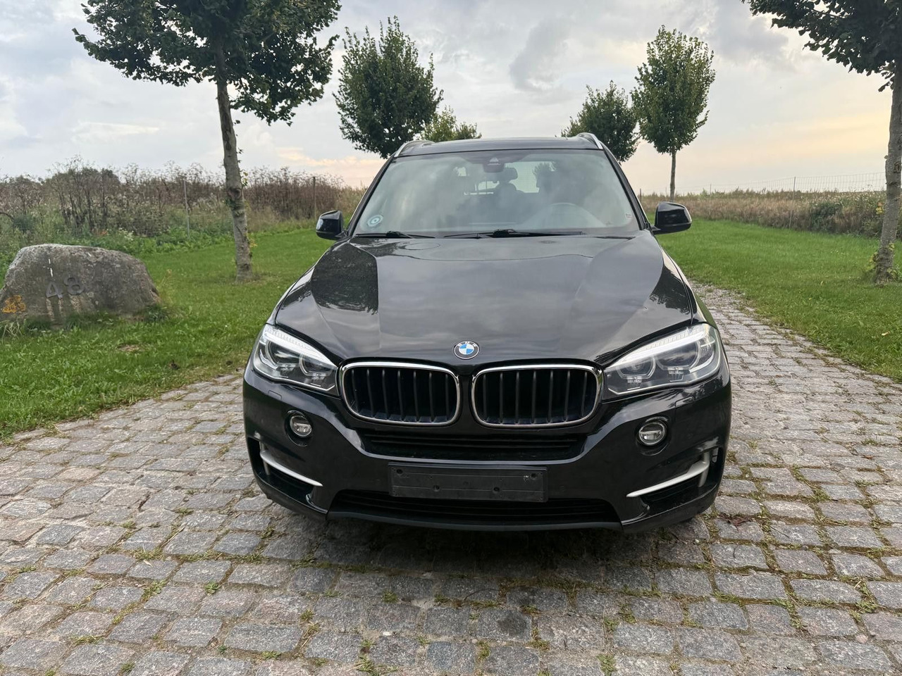 BMW X5 Baureihe X5 xDrive 30 d - SUV: foto 5 BMW X5 Baureihe X5 xDrive 30 d - SUV: foto 5