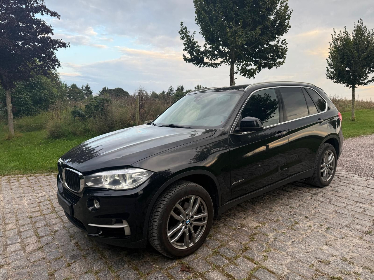 BMW X5 Baureihe X5 xDrive 30 d - SUV: foto 4 BMW X5 Baureihe X5 xDrive 30 d - SUV: foto 4
