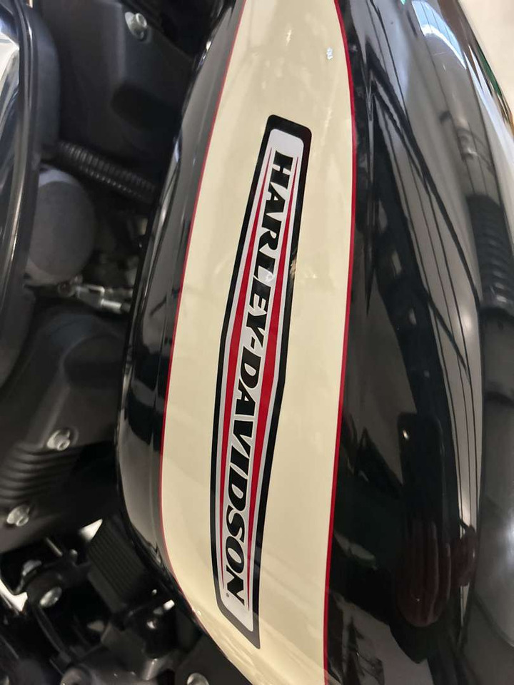 Reboque para moto 2006 Harley-Davidson XL Sportster 1200 Roadster: foto 11