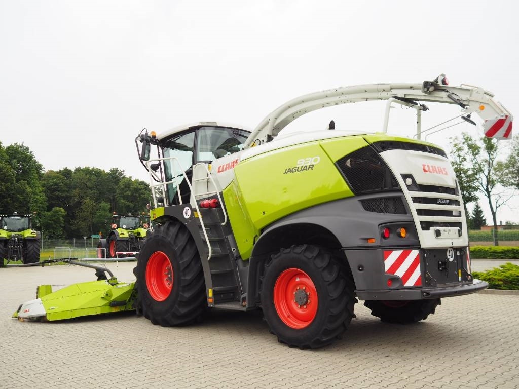 Claas Jaguar 930 + Orbis 600 SD - Picadora de forragem automotriz: foto 2 Claas Jaguar 930 + Orbis 600 SD - Picadora de forragem automotriz: foto 2