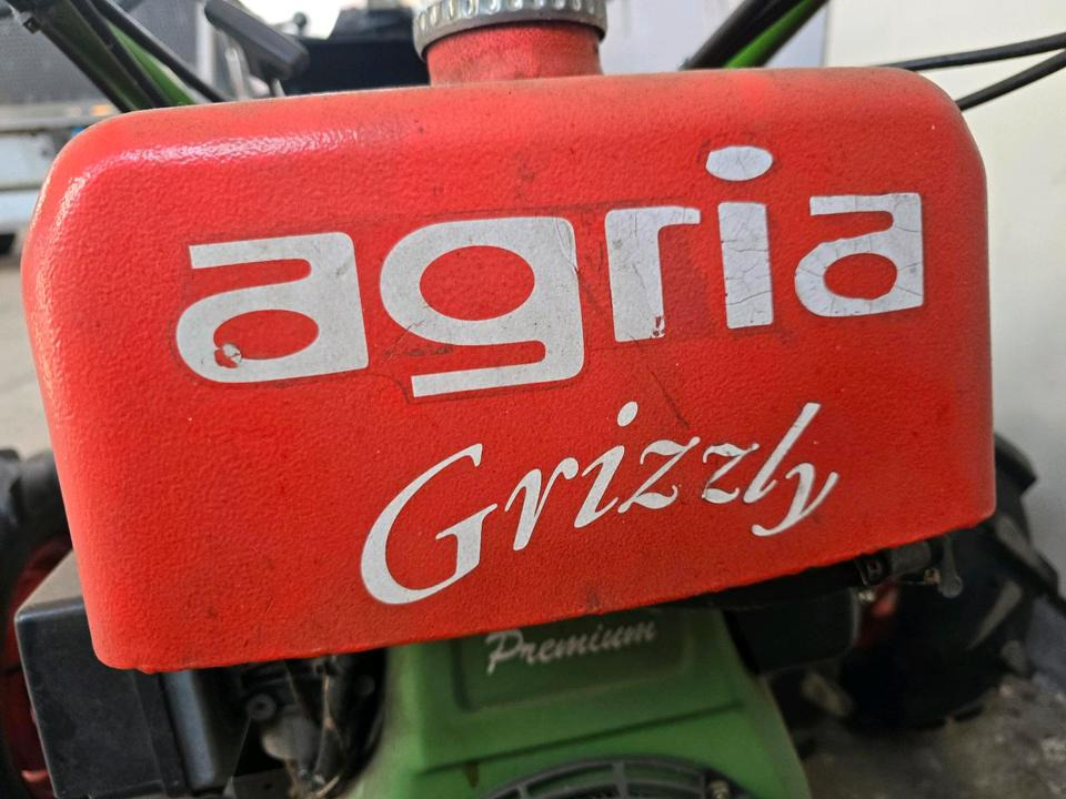Cortador de grama Agria Grizzly 5500 nur 163 Betriebsstunden Motormäher Böschungsmäher Böschungsmulcher Hangmäher Messerbalken Balkenmäher: foto 9