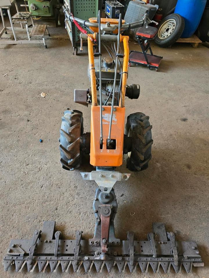 Vogel und Not Balkenmäher Hangmäher Böschungsmäher Mähbalken Rapid Reform Mulcher - Cortador de grama: foto 3 Vogel und Not Balkenmäher Hangmäher Böschungsmäher Mähbalken Rapid Reform Mulcher - Cortador de grama: foto 3