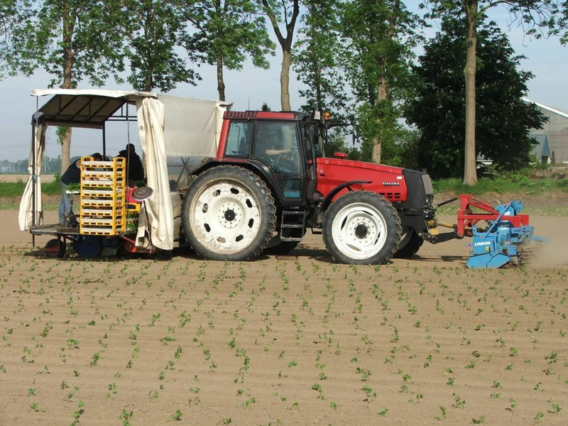 Valtra Valmet Zuidberg Fronthef - Trator: foto 4 Valtra Valmet Zuidberg Fronthef - Trator: foto 4