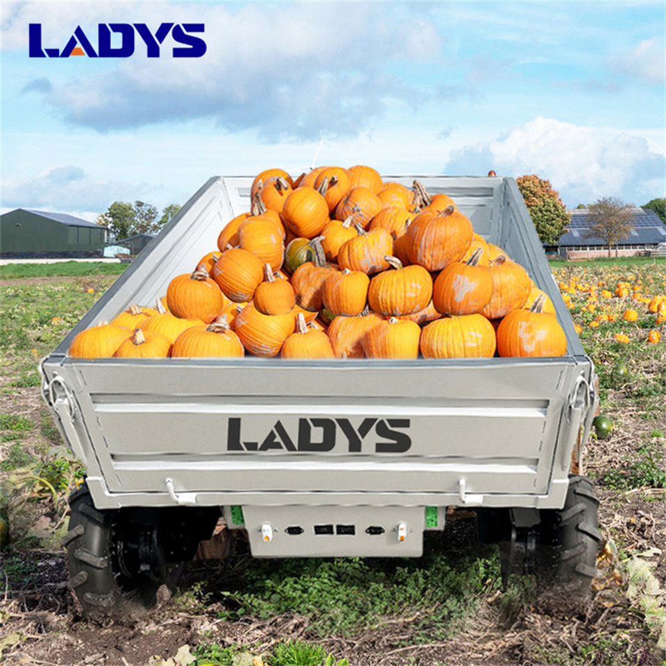 Reboque basculante agrícola novo LADYS Electric Remote Control Transporter Agricultural Orchard Farm Electric Utv Material Handling Equipment All Terrain Transport Vehicle: foto 8