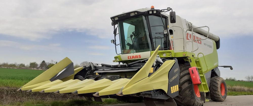 Plataforma para colher milho novo Oros Cornado 6 4+2R Nowa Przystawka do kukurydzy: foto 6