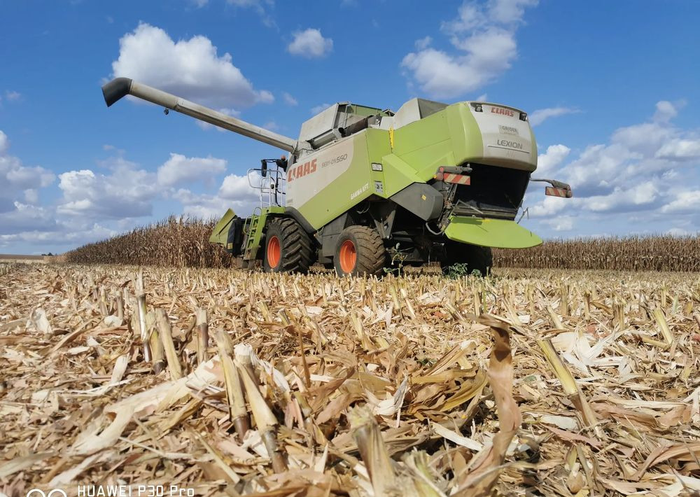 Plataforma para colher milho novo Oros Cornado 6 4+2R Nowa Przystawka do kukurydzy: foto 12