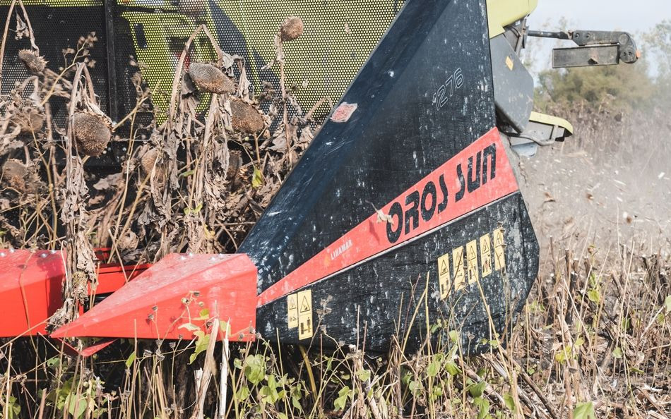 Plataforma para colher girassol novo Oros SUN 1276 12 rzędowy, Nowe przystawki do Zbioru Słonecznika: foto 14 Plataforma para colher girassol novo Oros SUN 1276 12 rzędowy, Nowe przystawki do Zbioru Słonecznika: foto 14