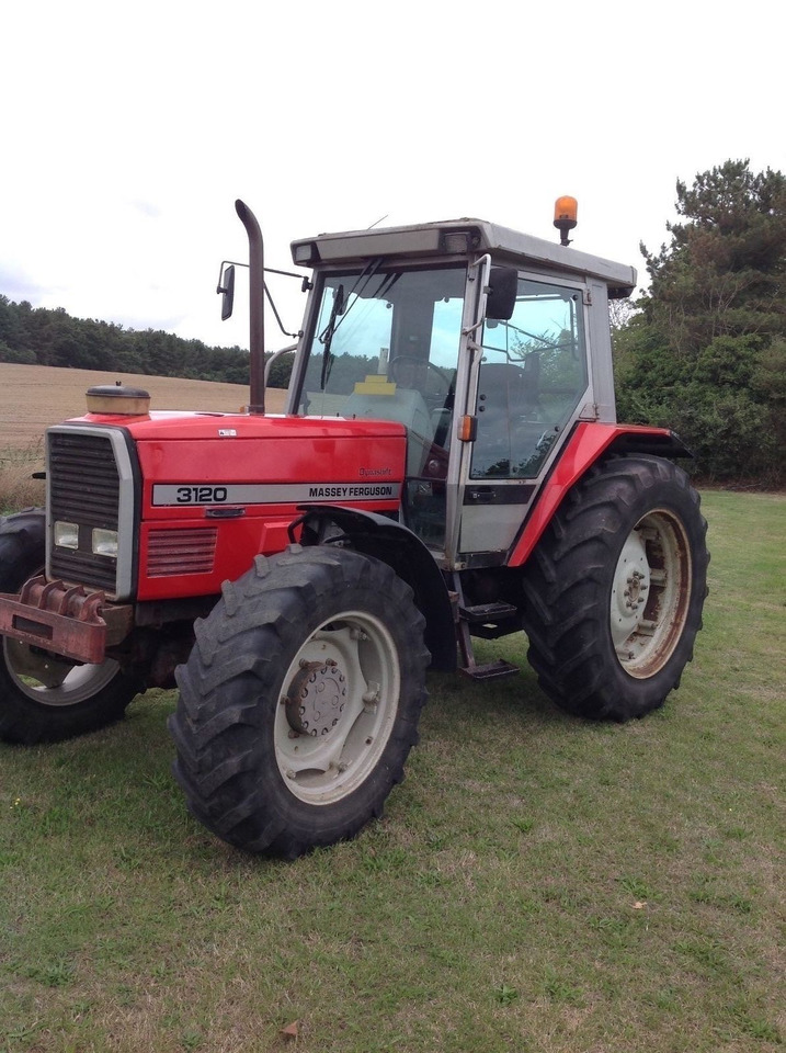 Massey Ferguson 3120 - Trator: foto 1 Massey Ferguson 3120 - Trator: foto 1