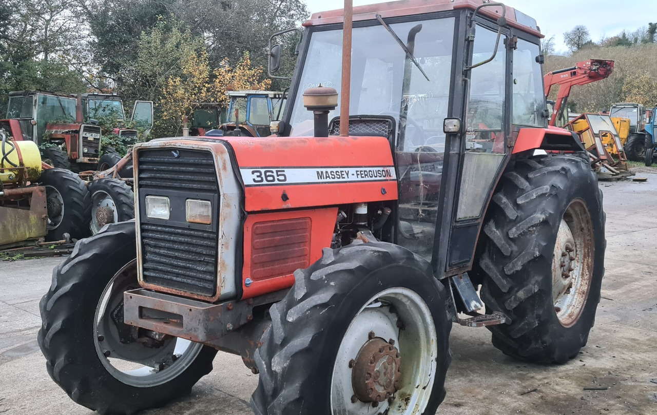 365 4wd - Trator: foto 2 365 4wd - Trator: foto 2