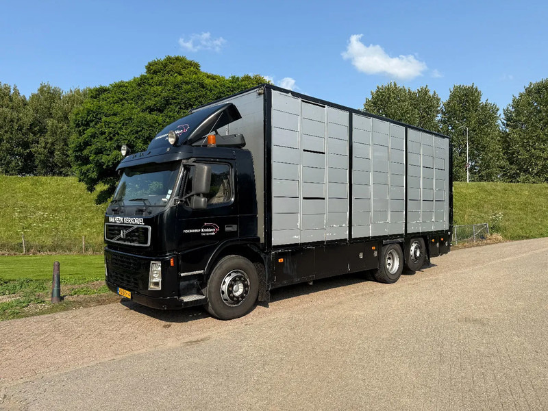 Volvo FM 300 Livestock Cuppers 3 laags 6x2 - Camião transporte de gado: foto 3 Volvo FM 300 Livestock Cuppers 3 laags 6x2 - Camião transporte de gado: foto 3