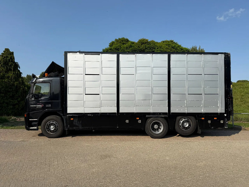 Volvo FM 300 Livestock Cuppers 3 laags 6x2 - Camião transporte de gado: foto 4 Volvo FM 300 Livestock Cuppers 3 laags 6x2 - Camião transporte de gado: foto 4