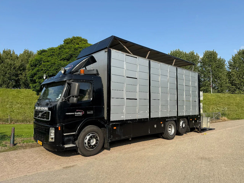 Volvo FM 300 Livestock Cuppers 3 laags 6x2 - Camião transporte de gado: foto 1 Volvo FM 300 Livestock Cuppers 3 laags 6x2 - Camião transporte de gado: foto 1