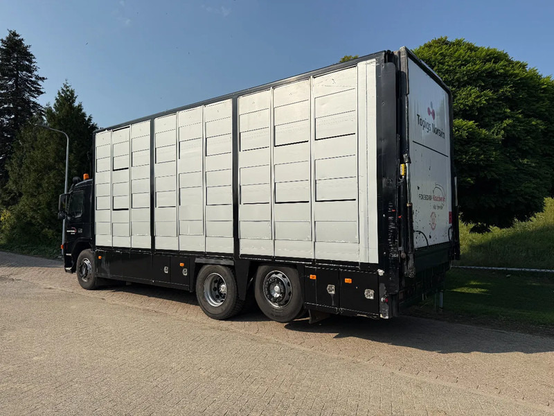 Volvo FM 300 Livestock Cuppers 3 laags 6x2 - Camião transporte de gado: foto 5 Volvo FM 300 Livestock Cuppers 3 laags 6x2 - Camião transporte de gado: foto 5