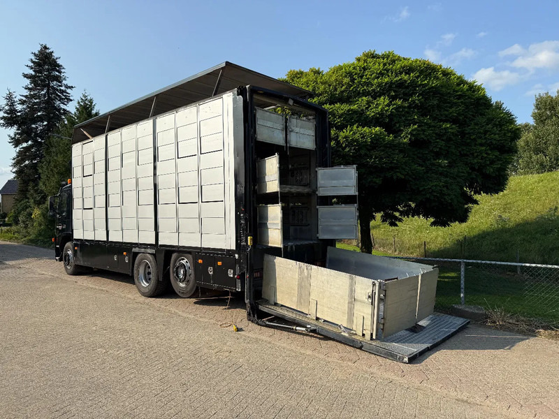 Volvo FM 300 Livestock Cuppers 3 laags 6x2 - Camião transporte de gado: foto 2 Volvo FM 300 Livestock Cuppers 3 laags 6x2 - Camião transporte de gado: foto 2