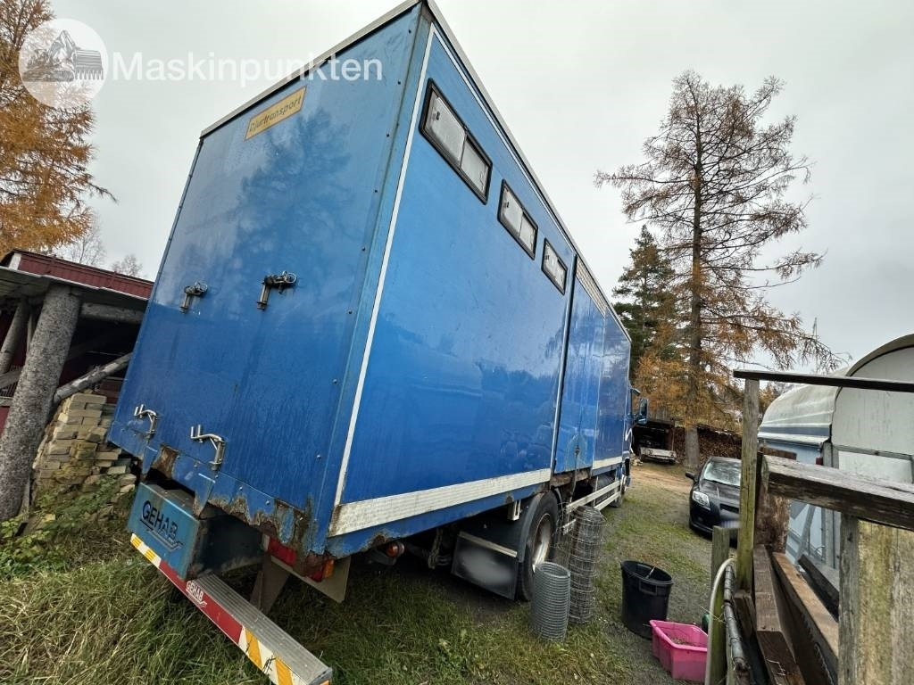 Volvo FH 12 - Camião transporte de gado: foto 4 Volvo FH 12 - Camião transporte de gado: foto 4