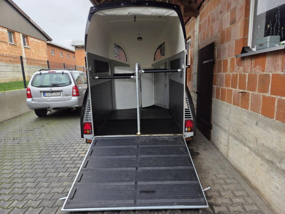 Böckmann Pferdeanhänger Champion R SaKa. WCF-Fahrwerk 100 km/h - Reboque para cavalos: foto 4 Böckmann Pferdeanhänger Champion R SaKa. WCF-Fahrwerk 100 km/h - Reboque para cavalos: foto 4