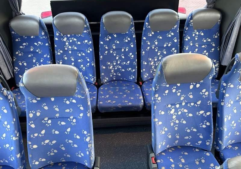 Ônibus suburbano Setra 2 x S415 GT-UL  Euro-5: foto 20