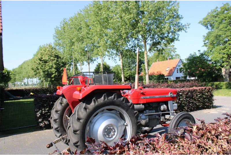 Massey Ferguson 135 - Trator: foto 3 Massey Ferguson 135 - Trator: foto 3