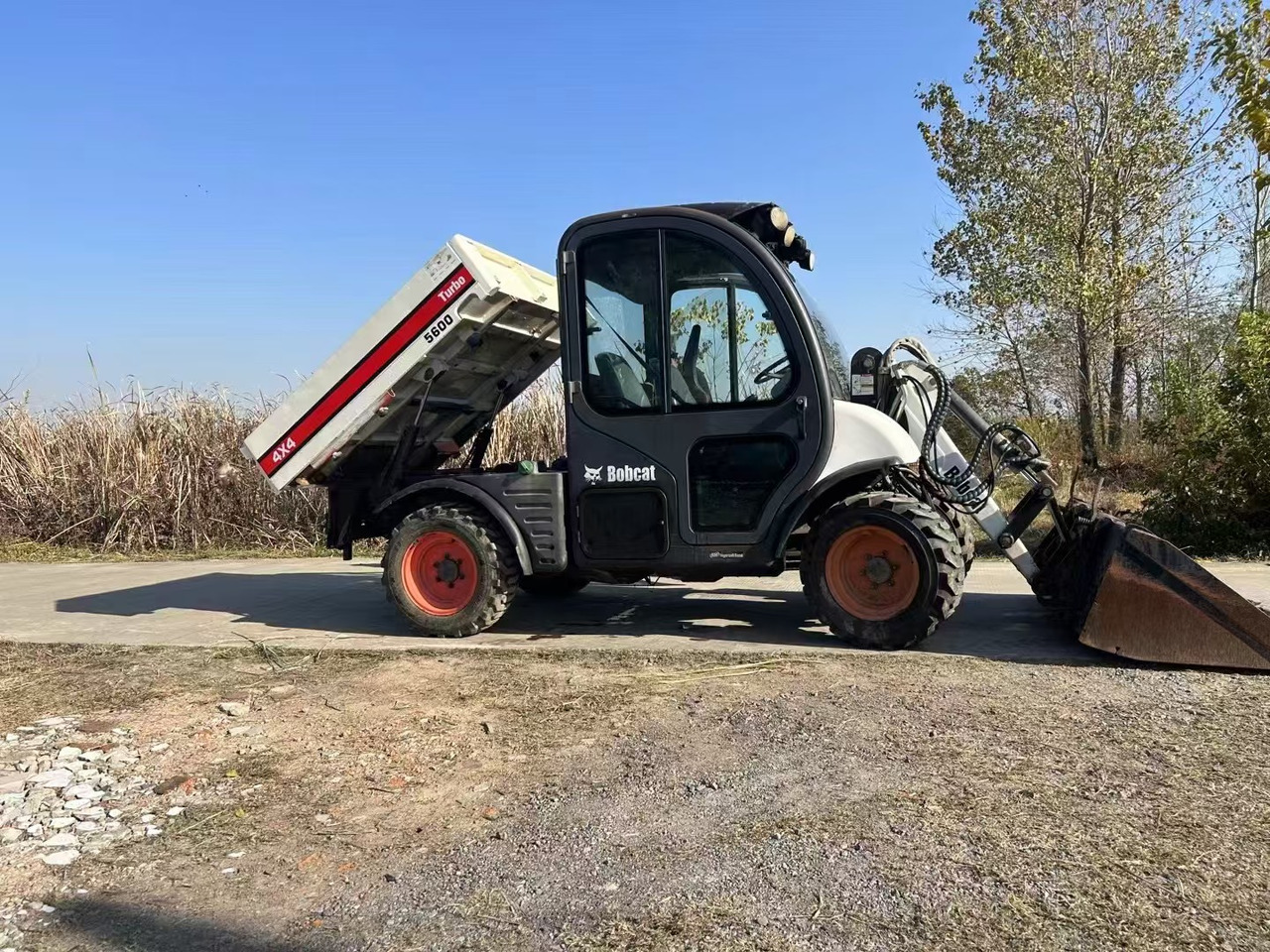 BOBCAT Bobcat 5600 - Mini pá carregadora: foto 1 BOBCAT Bobcat 5600 - Mini pá carregadora: foto 1