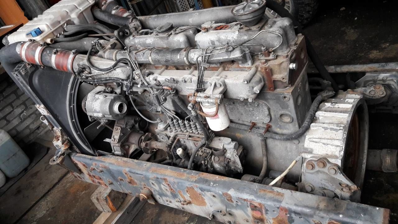 DAF WS268G DAF 95 85 - Motor por Camião: foto 3 DAF WS268G DAF 95 85 - Motor por Camião: foto 3