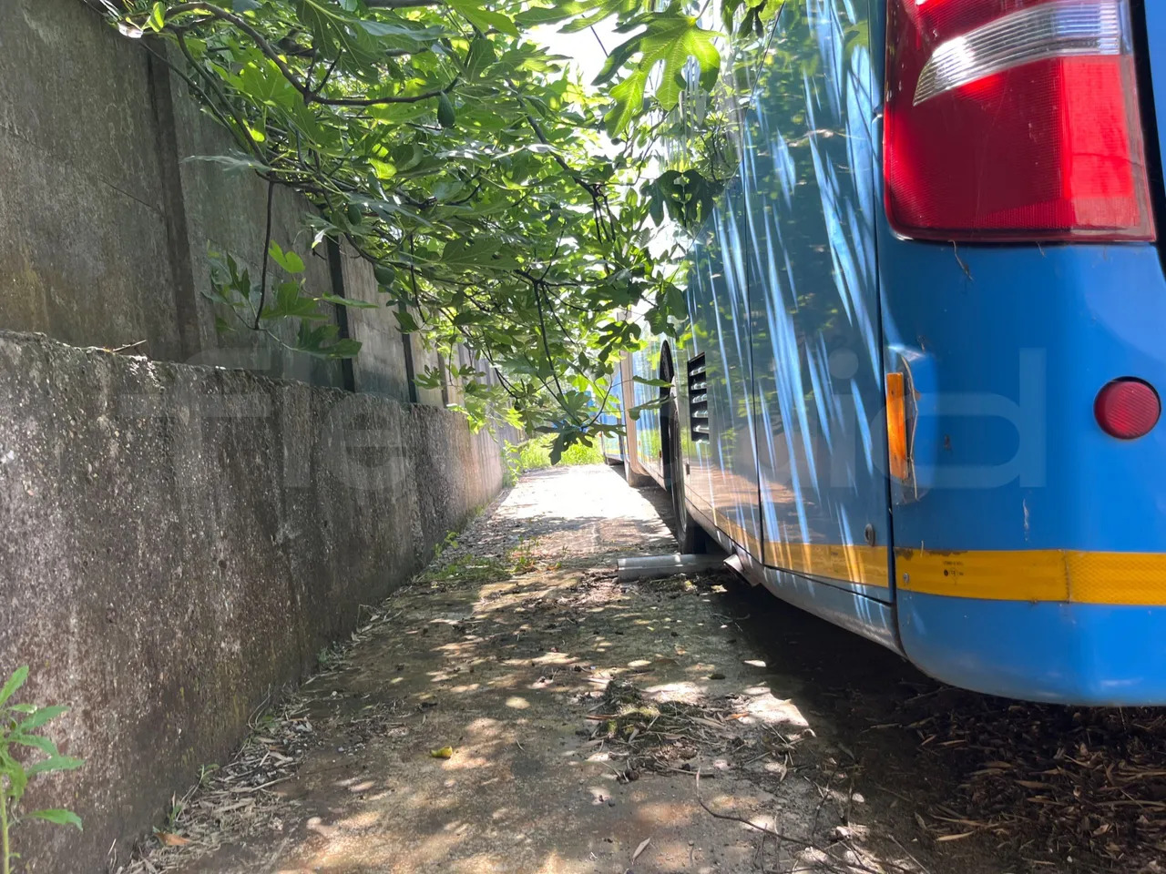 Mercedes-Benz Citaro G - Ônibus urbano: foto 4 Mercedes-Benz Citaro G - Ônibus urbano: foto 4