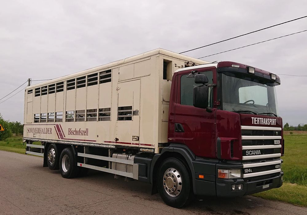 Scania 124 420 Do żywca - Camião transporte de gado: foto 2 Scania 124 420 Do żywca - Camião transporte de gado: foto 2