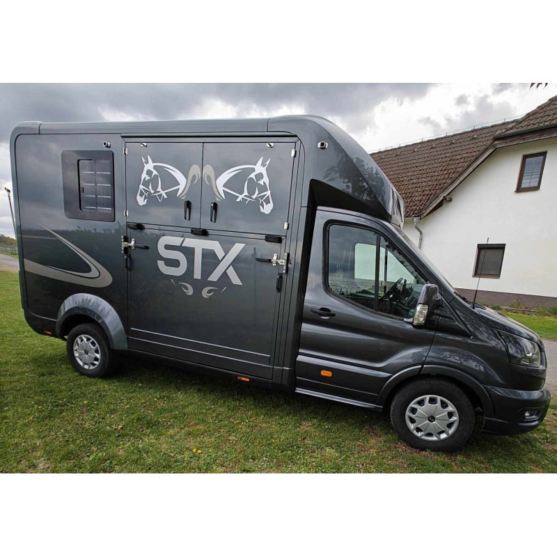 STX Ford Transit by Stephex - Camião de transporte de cavalos: foto 3 STX Ford Transit by Stephex - Camião de transporte de cavalos: foto 3