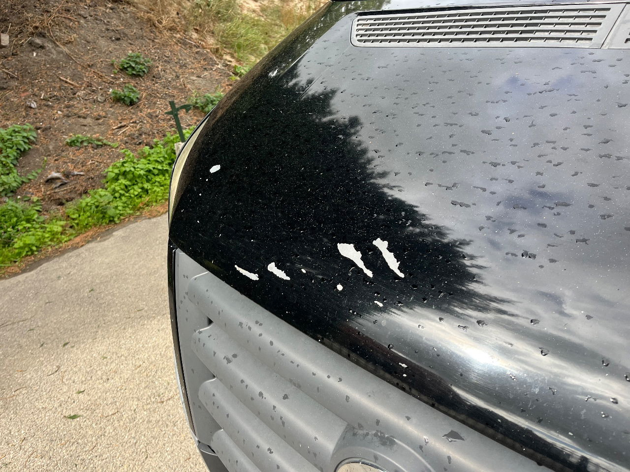 Volkswagen Crafter - Furgão: foto 5 Volkswagen Crafter - Furgão: foto 5