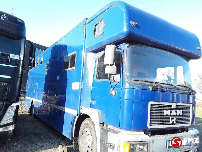 MAN 18.264 - Camião transporte de gado: foto 3 MAN 18.264 - Camião transporte de gado: foto 3