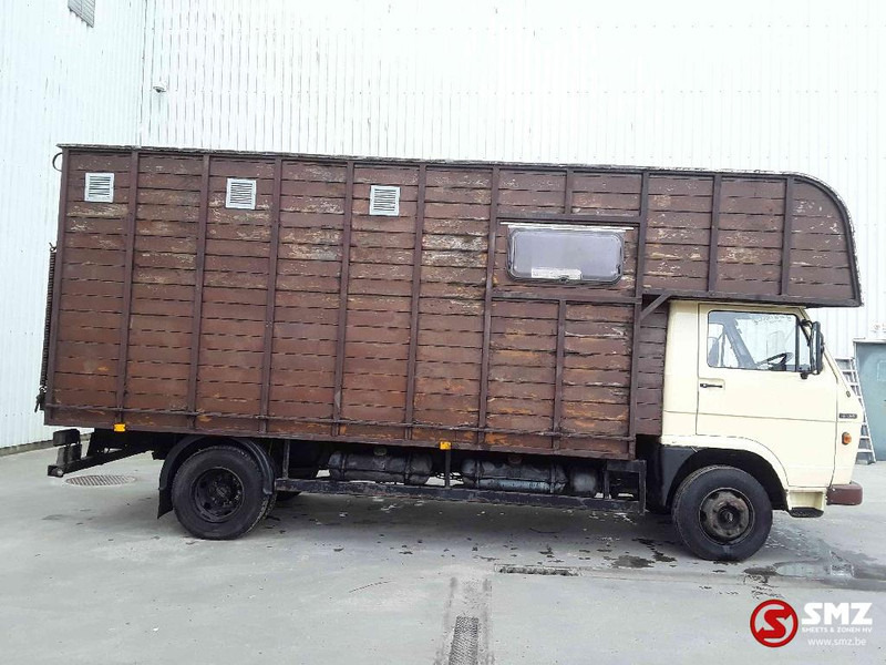 MAN 8.136 - Camião transporte de gado: foto 3 MAN 8.136 - Camião transporte de gado: foto 3