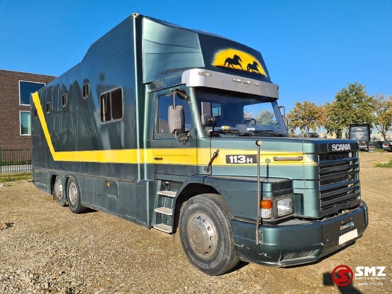 Scania 113 paarden/mobilhome - Camião de transporte de cavalos: foto 2 Scania 113 paarden/mobilhome - Camião de transporte de cavalos: foto 2
