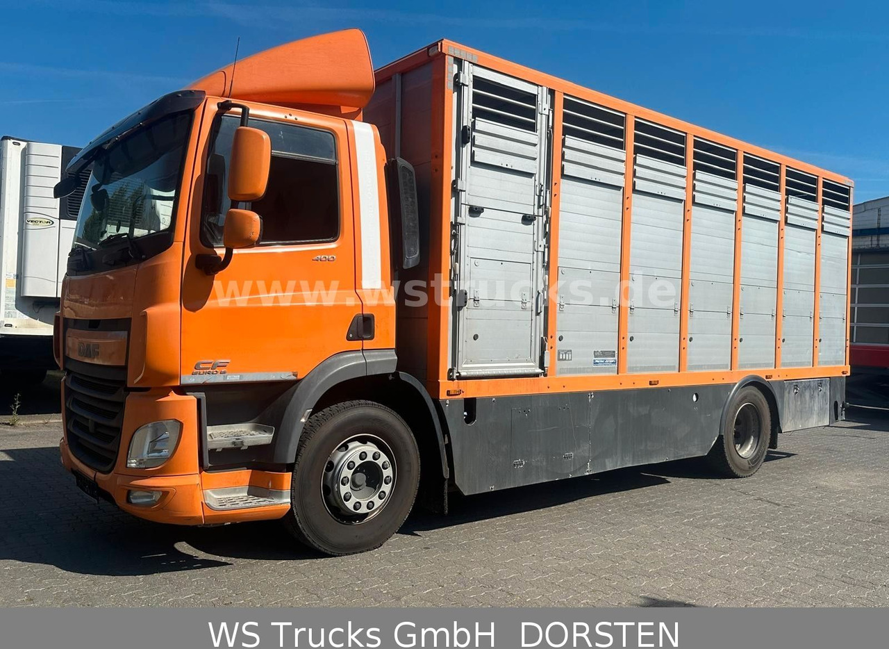DAF CF 400 Menke Einstock - Camião de transporte de cavalos: foto 1 DAF CF 400 Menke Einstock - Camião de transporte de cavalos: foto 1